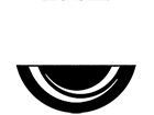 Bodyworkout Logo